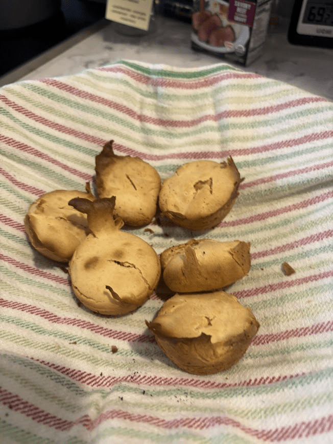 image of popovers that never popped